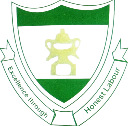 UNSSN logo
